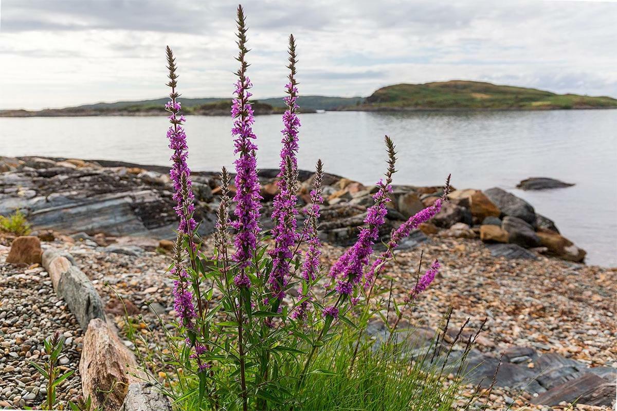 Lunga House Beach Lodges Craobh Haven Eksteriør bilde